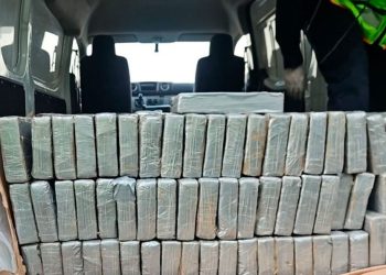 Detienen a 4 miembros de red que movía droga en el AICM; decomisan 270 kilos de cocaína