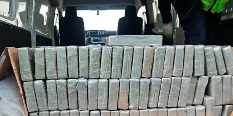 Detienen a 4 miembros de red que movía droga en el AICM; decomisan 270 kilos de cocaína