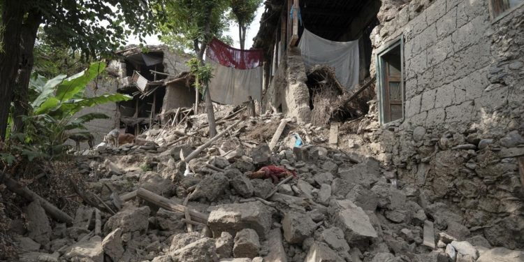 Terremoto en Afganistán deja al menos 20 muertos y más de 300 heridos en el norte del país