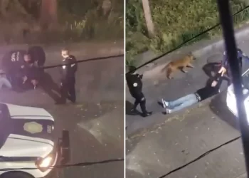 Salió a pasear a su perro y terminó muerto: la historia de Erick Omar en CDMX