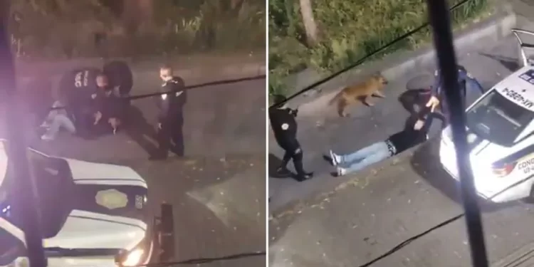 Salió a pasear a su perro y terminó muerto: la historia de Erick Omar en CDMX