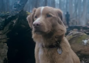 Indy, el adorable protagonista de Good Boy, compite por un premio en los Astra Film Awards 2026