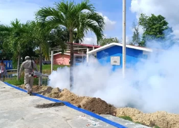 Baja notable en contagios de dengue en Quintana Roo
