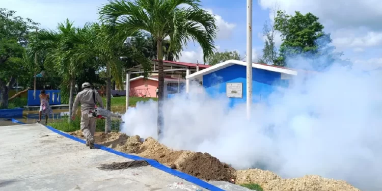 Baja notable en contagios de dengue en Quintana Roo