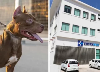 Pitbull se suelta y ataca a familia; dos niñas y su padre acaban en el hospital
