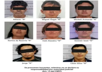 Ocho detenidos tras operativos y cateos en Quintana Roo