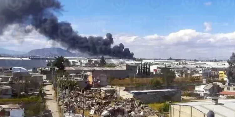 Cae avioneta cerca del Aeropuerto de Toluca; reportan víctimas