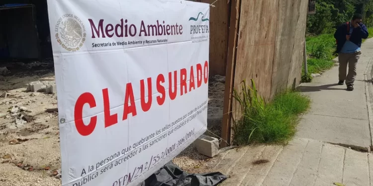 Profepa clausura desmonte de selva en Playa del Carmen