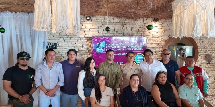 Empresarios y autoridades refuerzan estrategia contra el sargazo en Playa del Carmen