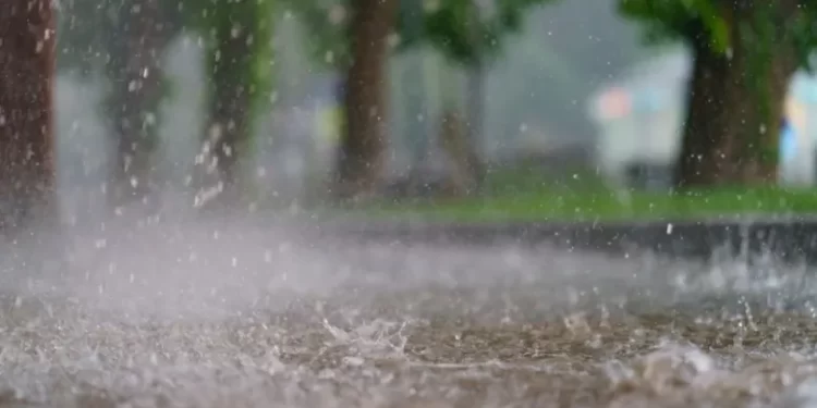 Clima en Cancún miércoles 14 de enero: lluvias y chubascos en la Península