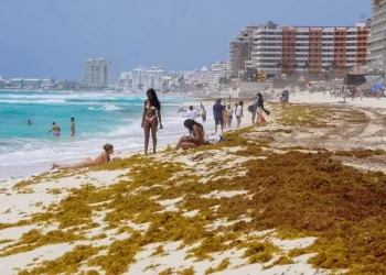 Cancún refuerza estrategia contra el sargazo con 7 mil 500 metros de barreras