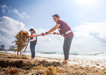 Cuidamos y preservamos nuestras playas para cancunenses y turistas: Ana Paty Peralta