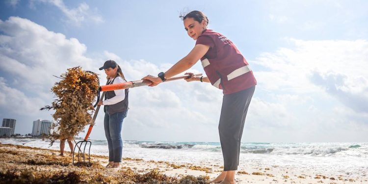 Cuidamos y preservamos nuestras playas para cancunenses y turistas: Ana Paty Peralta