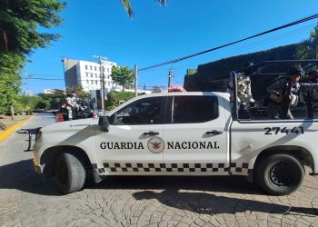 Retiene Guardia Nacional al director de Dolphin Discovery en Cancún