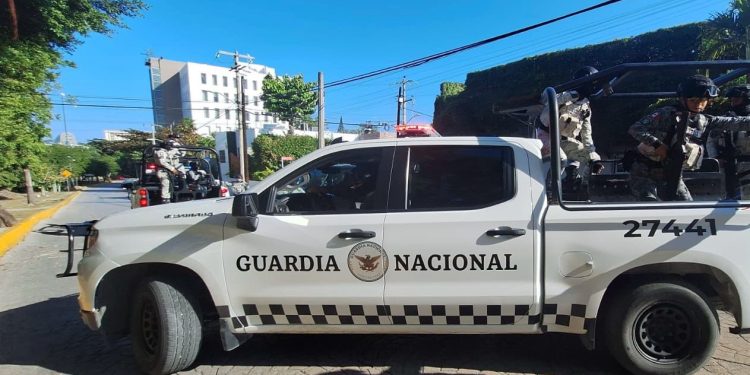 Retiene Guardia Nacional al director de Dolphin Discovery en Cancún