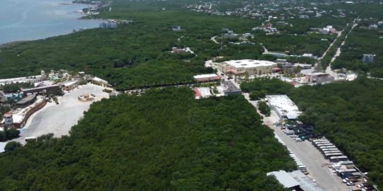 Congelan juicio contra Perfect Day en Mahahual por impugnación del municipio