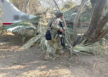Interceptan avión en Oaxaca con más de media tonelada de cocaína