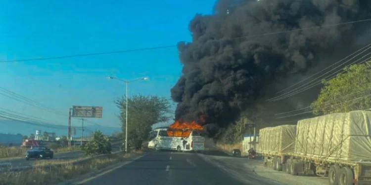 EU brindó información clave en operativo donde “El Mencho” y seis miembros del CJNG fueron abatidos: Defensa