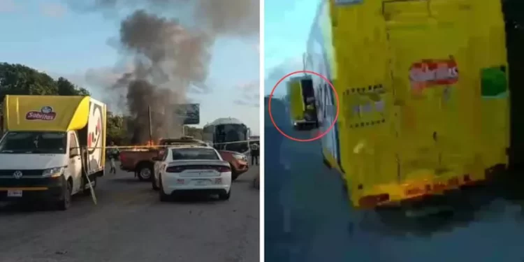 Conductor detenido tras accidente en Akumal en carretera federal 307