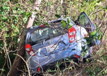 Conductor se duerme al volante y termina en la maleza en la federal 295