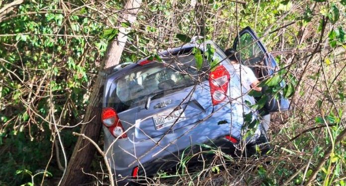 Conductor se duerme al volante y termina en la maleza en la federal 295