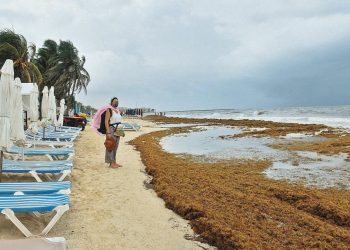 Instalan nuevas estaciones para medir el impacto del sargazo en Quintana Roo
