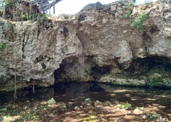 Retiran hasta 4 toneladas de basura en cenotes de Cancún; preocupa contaminación