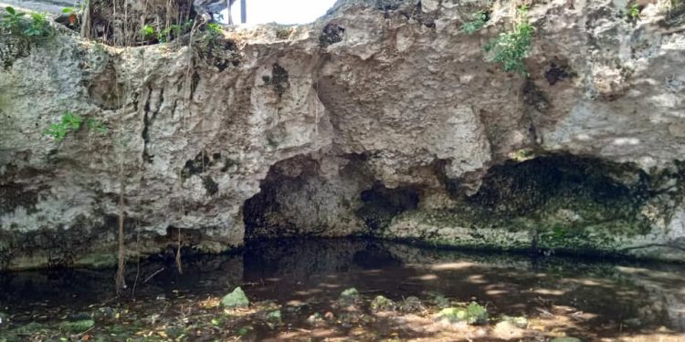 Retiran hasta 4 toneladas de basura en cenotes de Cancún; preocupa contaminación