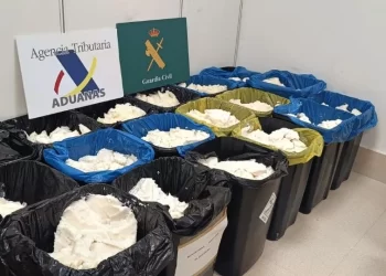 Decomisan en Madrid más de 600 kilos de metanfetamina procedente de México; venía escondida en envases de aceite de coco