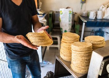 Tortilla alcanza los 30 pesos en Cancún; aumenta el precio en el sur
