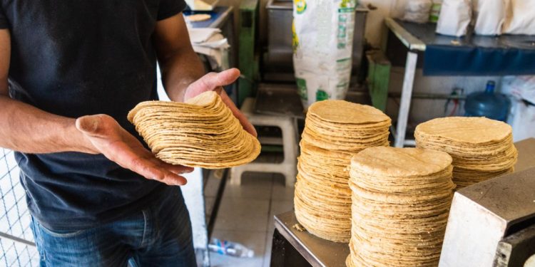 Tortilla alcanza los 30 pesos en Cancún; aumenta el precio en el sur