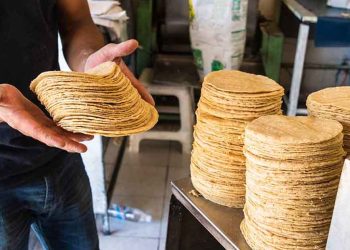 Anticipan aumento en el precio de la tortilla en Quintana Roo