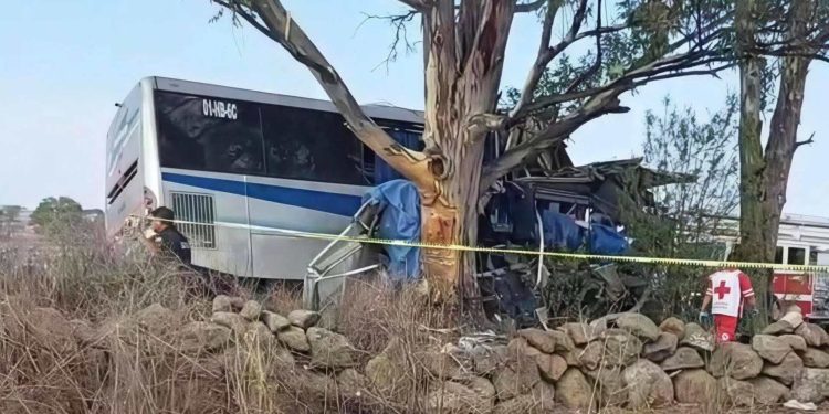 Trágico accidente en carretera de Querétaro deja al menos 9 fallecidos