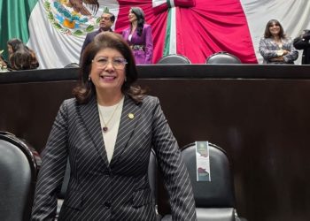 Senadora de Morena admite haber ordenado el sacrificio de más de 10 mil perros en Edomex durante cinco años