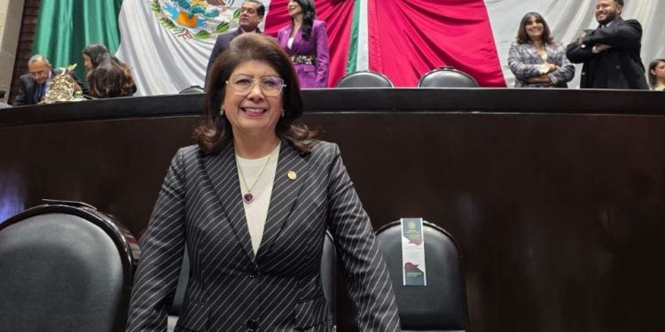 Senadora de Morena admite haber ordenado el sacrificio de más de 10 mil perros en Edomex durante cinco años