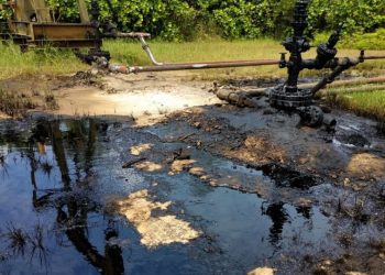 Reportan nuevo derrame en Veracruz; piden acción urgente del gobierno
