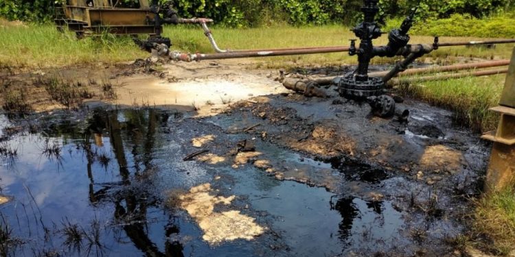Reportan nuevo derrame en Veracruz; piden acción urgente del gobierno