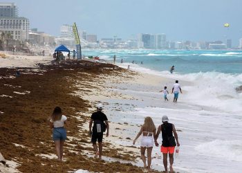 Caribe mexicano reporta 36 playas con sargazo excesivo
