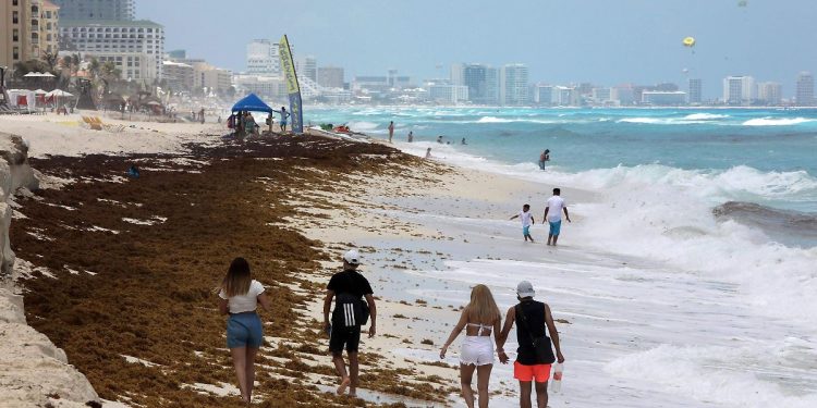Caribe mexicano reporta 36 playas con sargazo excesivo