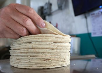Tortilleros enfrentan al Gobierno por aumento de costos e informalidad en México