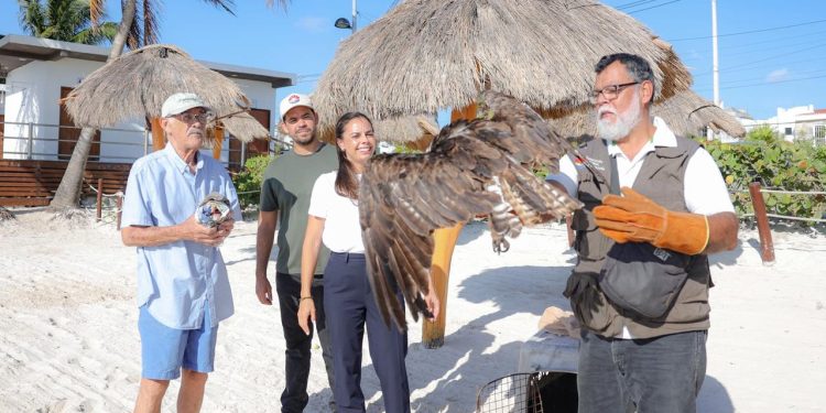 Impulsa Ana Paty Peralta protección de la fauna silvestre en Cancún