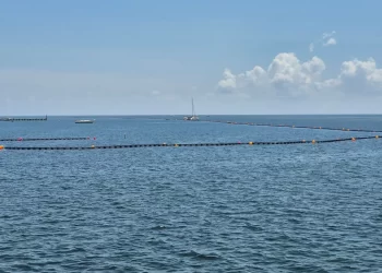 Cancún: Instalarán barreras anti sargazo en playas