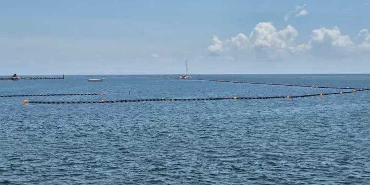 Cancún: Instalarán barreras anti sargazo en playas