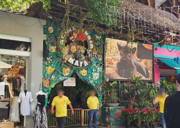 Realizan cateo en Animalandia Maya; detienen a propietario