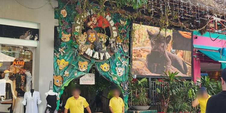 Realizan cateo en Animalandia Maya; detienen a propietario