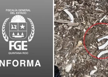 FGE descarta restos humanos en carretera tras análisis