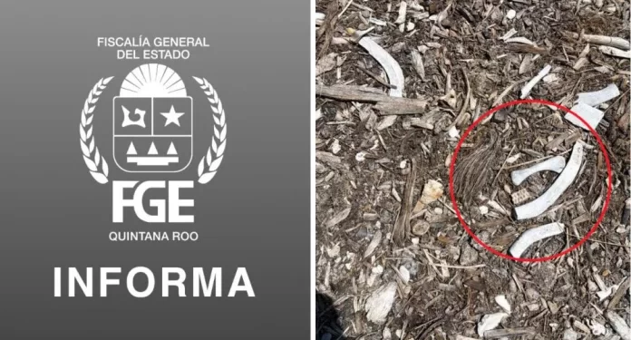 FGE descarta restos humanos en carretera tras análisis