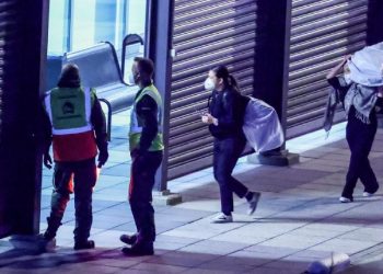 Reportan 10 casos de hantavirus por brote en crucero MV Hondius