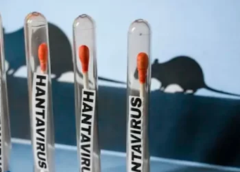 Quintana Roo sin casos de hantavirus, confirma SESA