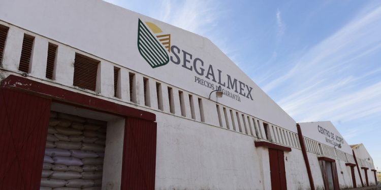 Exservidores de Segalmex deberán cubrir más de 261 mdp por irregularidades